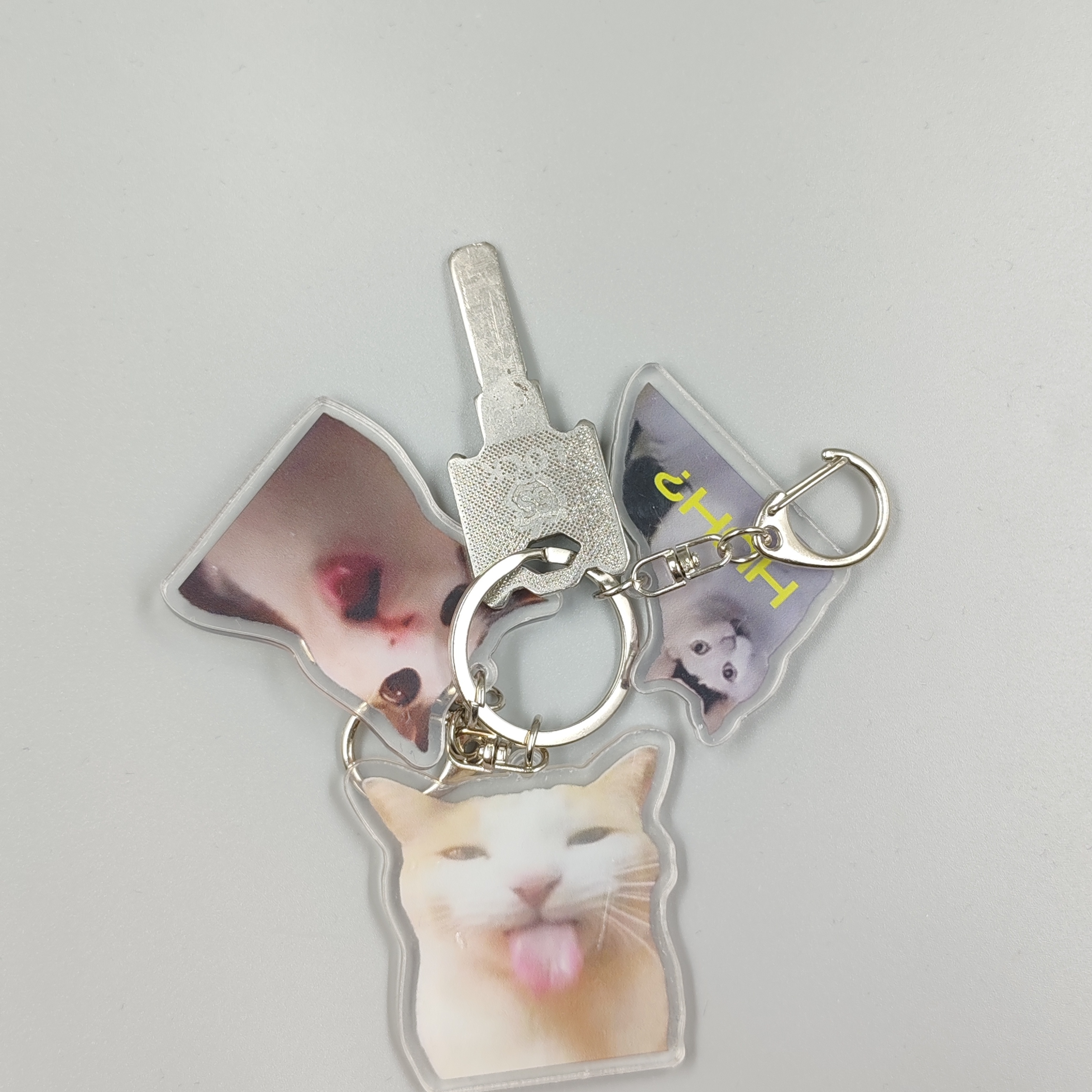 Viral Video Series Of Keychains -huh Cat Cat, Cat Crunching, As Cat, cat Crunching, cat Chewing or cat Eating , Cat, Blehhhhh :, Viral Meme Of A cat sticking Its Tongue Out.
Viral Video Series Of Keychains -huh Cat Cat, Cat Crunching, As Cat, cat Crunching, cat Chewing or cat Eating , Cat, Blehhhhh :, Viral Meme Of A cat sticking Its Tongue Out.