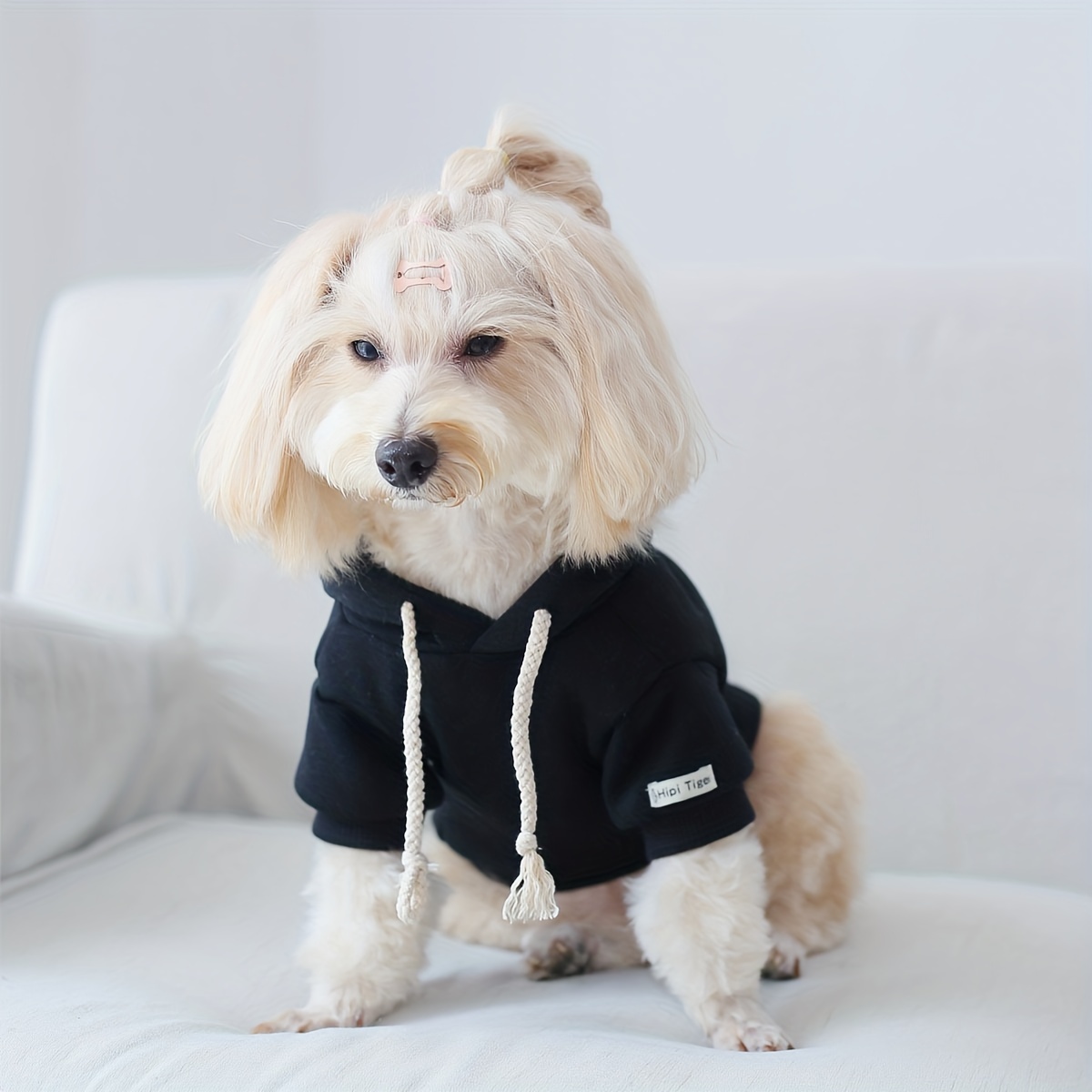 1pc Lined Fuzzy Simple Pet Hooded Sweatshirt, Dog Hoodie With Drawstring For Dog Indoor Outdoor Home Comfortable Clothes
1pc Lined Fuzzy Simple Pet Hooded Sweatshirt, Dog Hoodie With Drawstring For Dog Indoor Outdoor Home Comfortable Clothes