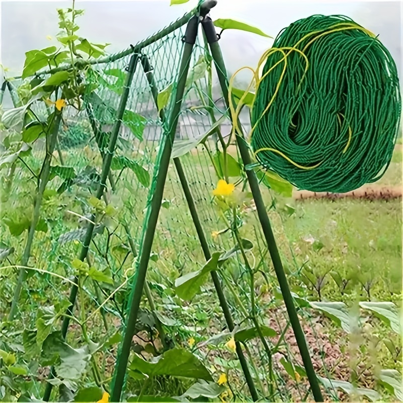 1pc Horticultural Plants Climbing Vine Nets Cucumber, Fruit, Morning Glory Climbing Flowers Climbing Vine Ropes For Climbing Plants
1pc Horticultural Plants Climbing Vine Nets Cucumber, Fruit, Morning Glory Climbing Flowers Climbing Vine Ropes For Climbing Plants
