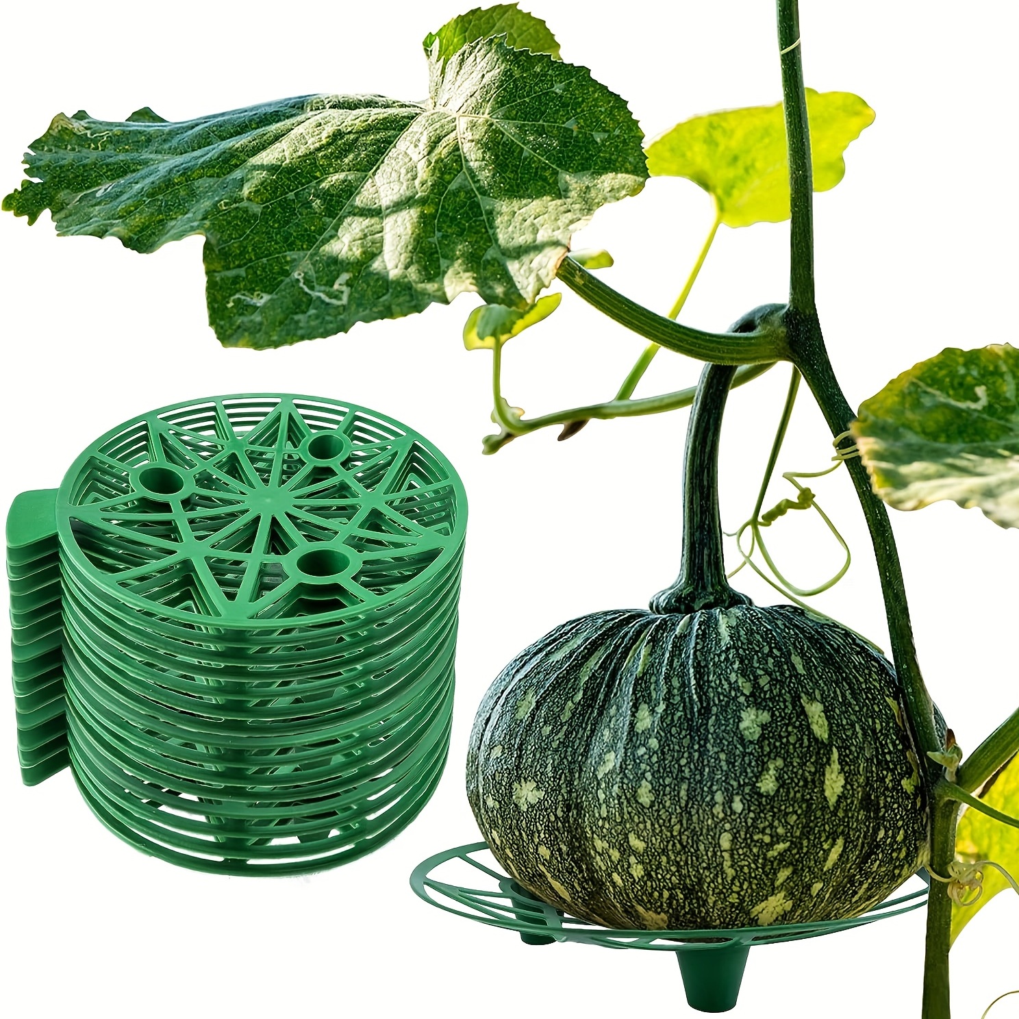 5pcs Watermelon Support - Heavy-duty Gardening Fruit Bracket, Anti-rot, Household Garden Use
5pcs Watermelon Support - Heavy-duty Gardening Fruit Bracket, Anti-rot, Household Garden Use