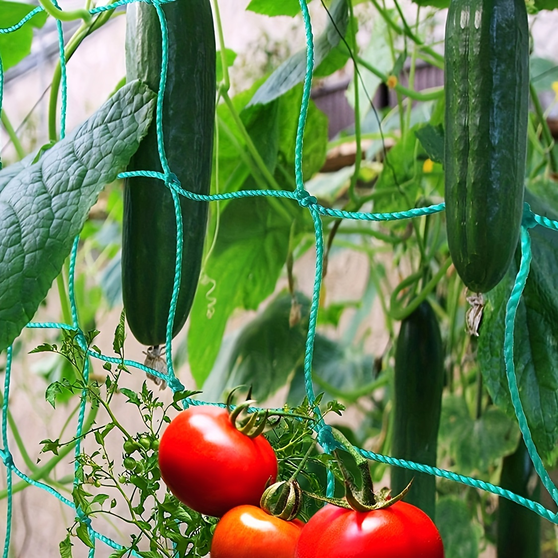 1pc Garden Trellis For Climbing Plants Outdoor, Trellis Netting For Cucumber, Tomato, Plant Trellis Net With 4x4 Inch Mesh As Vegetable Trellis For Grape, Bean, Growing Pea
1pc Garden Trellis For Climbing Plants Outdoor, Trellis Netting For Cucumber, Tomato, Plant Trellis Net With 4x4 Inch Mesh As Vegetable Trellis For Grape, Bean, Growing Pea