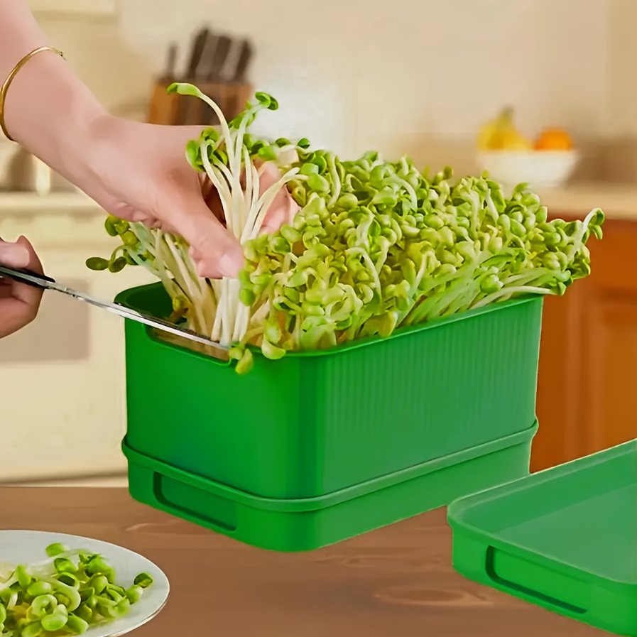 Pot de Germination pour Maison de Printemps, Inclut Plateau de d'Eau, Plateau de en Plastique pour Semis, Convient aux Débutants
Pot de Germination pour Maison de Printemps, Inclut Plateau de d'Eau, Plateau de en Plastique pour Semis, Convient aux Débutants