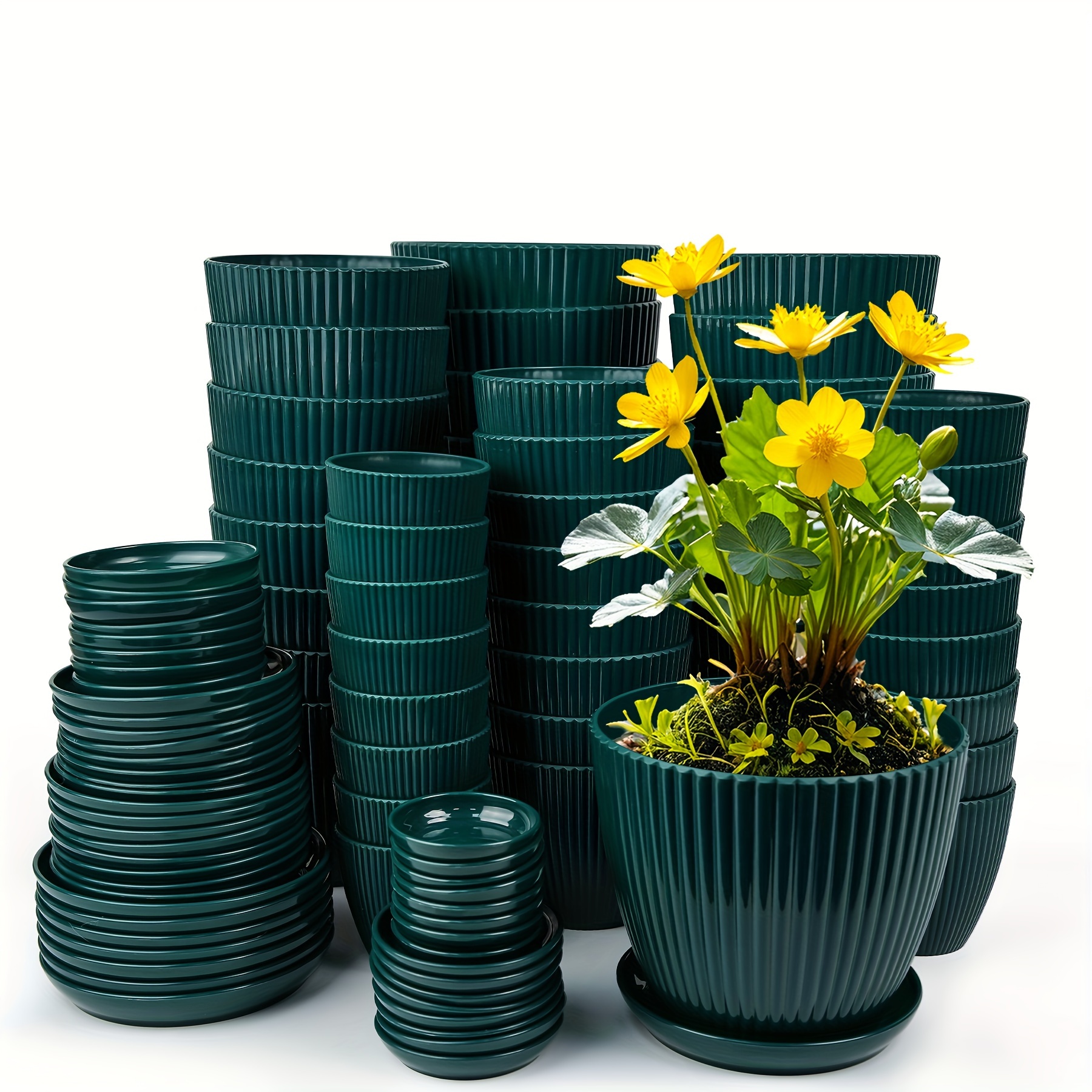 48pcs, Designer Flower Pots, Minimalist Plastic Planters With Clean Lines, Durable Plastic Planters For All Your Gardening Needs, Plant Planters With Drainage Holes And Trays
48pcs, Designer Flower Pots, Minimalist Plastic Planters With Clean Lines, Durable Plastic Planters For All Your Gardening Needs, Plant Planters With Drainage Holes And Trays
