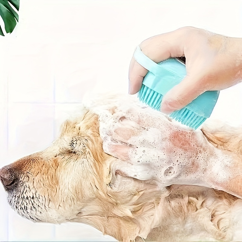 A Pet Bath Brush That Can Be Used With Shower Gel Is Suitable For Cats And Dogs For Bathing.
A Pet Bath Brush That Can Be Used With Shower Gel Is Suitable For Cats And Dogs For Bathing.