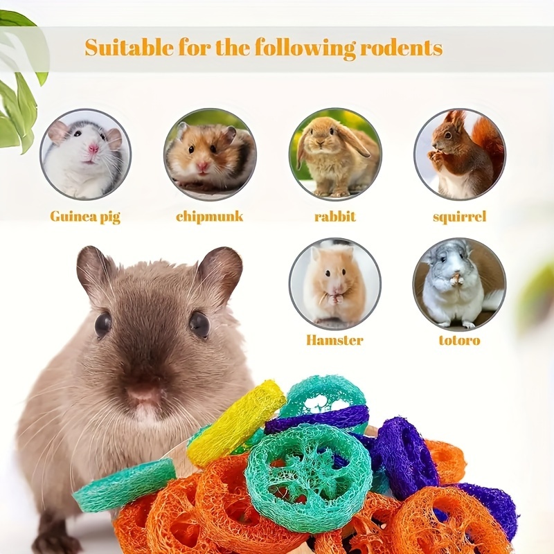 5/10pcs Assorted Color Pet Teeth Grinding Toys, Colorful Teeth Cleaning And Durable Toys Small Pet Supplies
5/10pcs Assorted Color Pet Teeth Grinding Toys, Colorful Teeth Cleaning And Durable Toys Small Pet Supplies