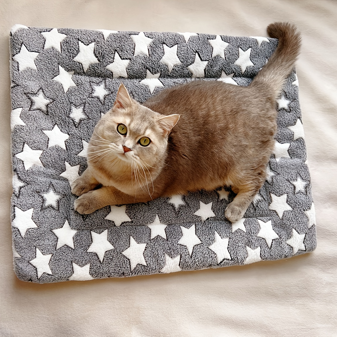 Geometric-patterned Dog Bed Mat, Plush Autumn And Winter Pet Pad, Stain-resistant, Rectangle, Polyester Fiber Filling, With Uncharged For All , Suitable For Extra Small To Large Dog Breeds
Geometric-patterned Dog Bed Mat, Plush Autumn And Winter Pet Pad, Stain-resistant, Rectangle, Polyester Fiber Filling, With Uncharged For All , Suitable For Extra Small To Large Dog Breeds
