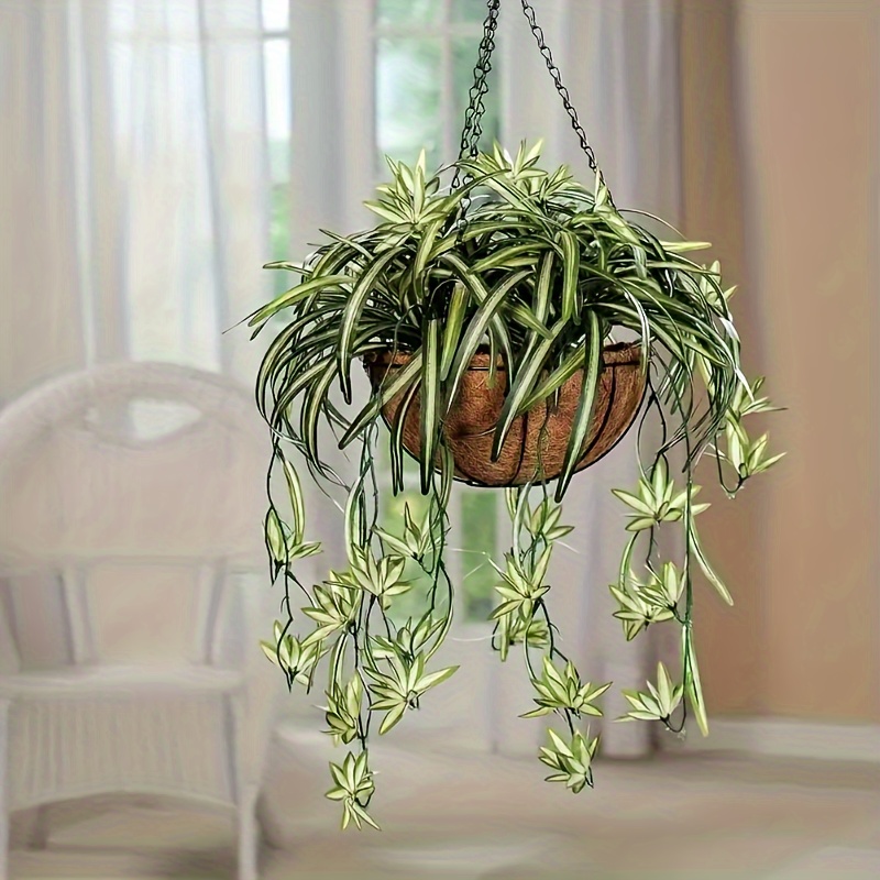 Luxurious Artificial Hanging Plant - Large Faux Spider Plant For Decor | Perfect Housewarming Gift | Ideal For Garden, Wedding, And Engagement Celebrations
Luxurious Artificial Hanging Plant - Large Faux Spider Plant For Decor | Perfect Housewarming Gift | Ideal For Garden, Wedding, And Engagement Celebrations