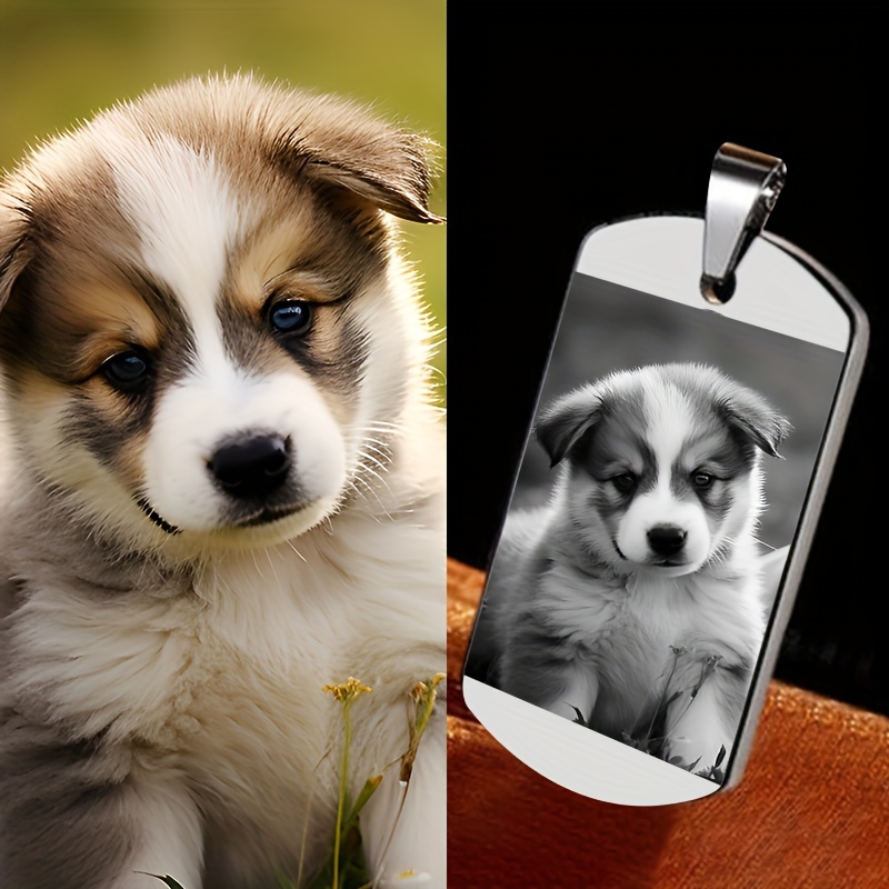 Personalized Pet Necklace Keychain - Steel Pet Jewelry For Loss Of Dog Or Cat, Customizable Engraved Pet Tag Pendant For
Personalized Pet Necklace Keychain - Steel Pet Jewelry For Loss Of Dog Or Cat, Customizable Engraved Pet Tag Pendant For