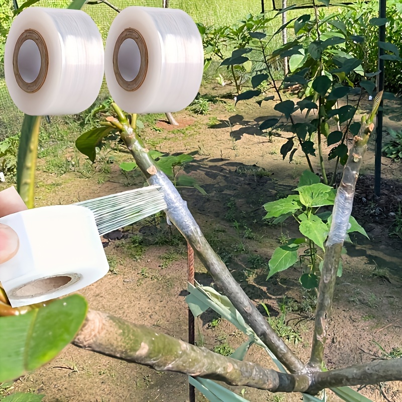 Strong Adhesive Fruit Tree Grafting Tape, 705.38ft Roll - Stretchable & Self-adhesive Film For And Wrapping
Strong Adhesive Fruit Tree Grafting Tape, 705.38ft Roll - Stretchable & Self-adhesive Film For And Wrapping
