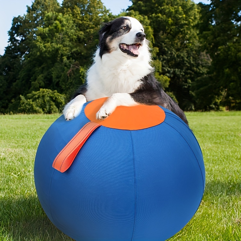 Pet Dog , A Set Of Dog , , - , Boring , Pet , Dog , Dog-grazing For And , And -grazing For (upgraded )
Pet Dog , A Set Of Dog , , - , Boring , Pet , Dog , Dog-grazing For And , And -grazing For (upgraded )