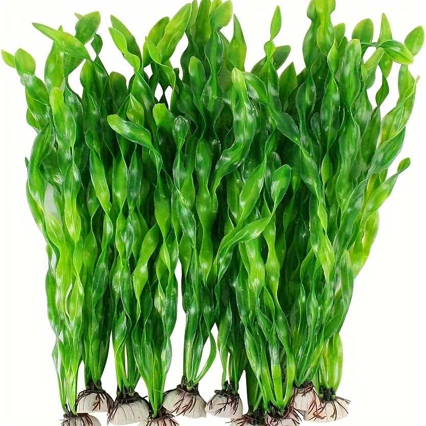 5pcs Artificial Water Grass For Aquarium Decoration - Waterproof Pvc, Realistic Green Leaves With , Fish Landscape Decor, Large Aquarium Decorations
5pcs Artificial Water Grass For Aquarium Decoration - Waterproof Pvc, Realistic Green Leaves With , Fish Landscape Decor, Large Aquarium Decorations