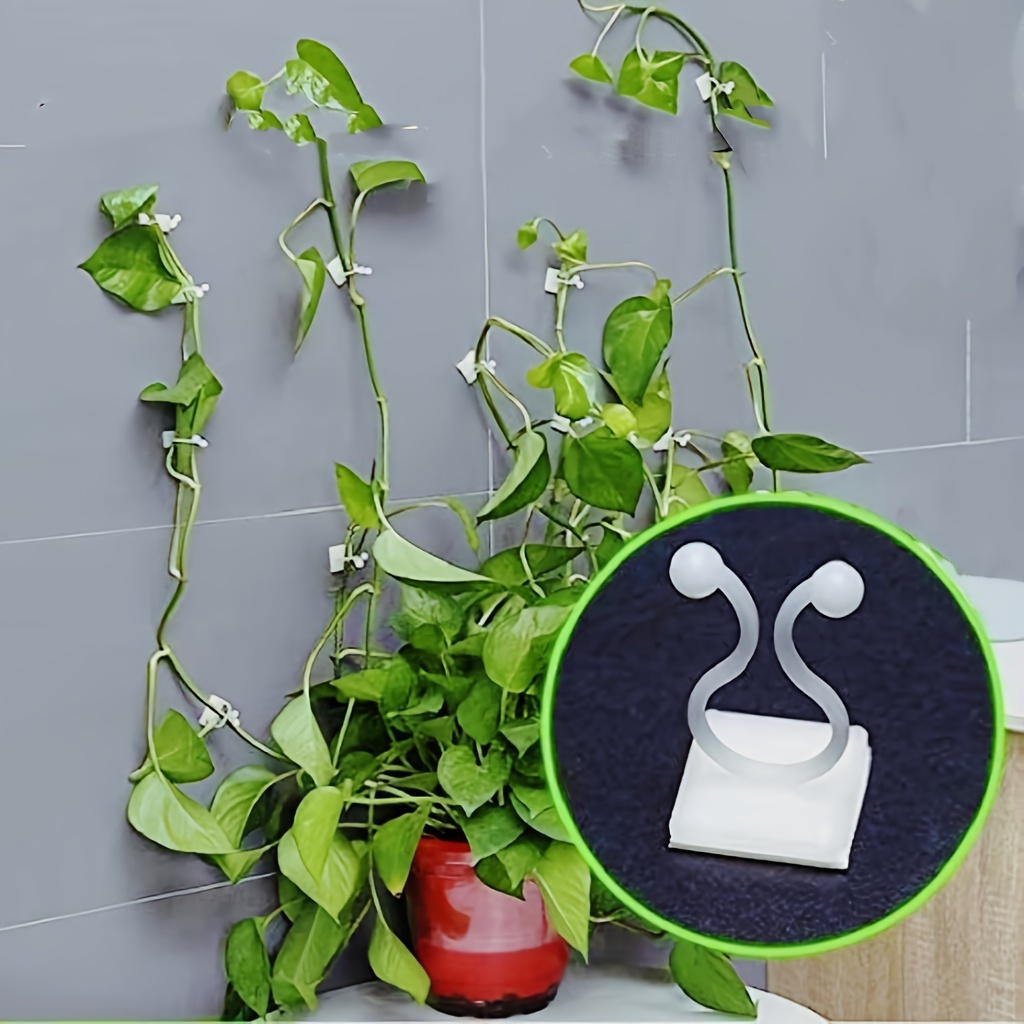 Support transparent pour plantes : Support adhésif pour plantes grimpantes pour intérieurs et - Blanc
Support transparent pour plantes : Support adhésif pour plantes grimpantes pour intérieurs et - Blanc