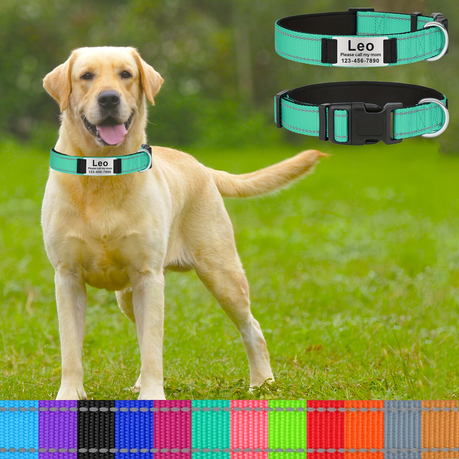 Reflective Personalized Dog Collar With Name Plate And Padded Nylon For Comfort And Safety
Reflective Personalized Dog Collar With Name Plate And Padded Nylon For Comfort And Safety