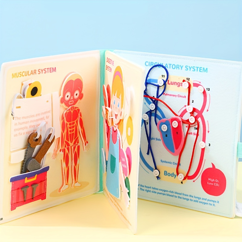 1pc Book Montessori Toy, Life Skills And Role Play Activity Toy, Educational Sensory Toy, Biological Human Construction Medical Cognitive Learning Toy, Perfect Toy Gift
1pc Book Montessori Toy, Life Skills And Role Play Activity Toy, Educational Sensory Toy, Biological Human Construction Medical Cognitive Learning Toy, Perfect Toy Gift