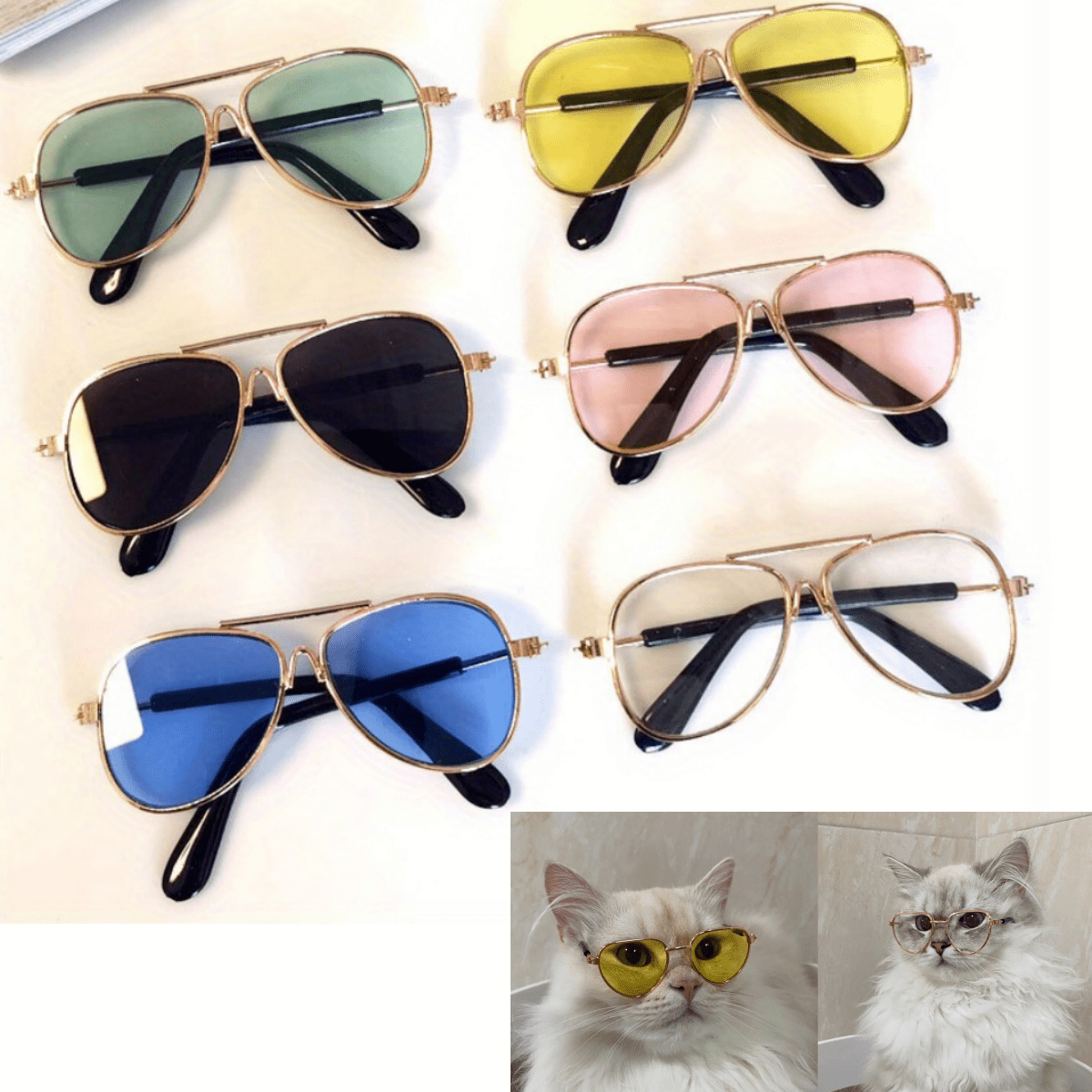 2pcs Glasses For Cats & Small Dogs - Trendy Glasses In Assorted Colors, Photo Props & Pet Festivals, Pet Glasses
2pcs Glasses For Cats & Small Dogs - Trendy Glasses In Assorted Colors, Photo Props & Pet Festivals, Pet Glasses
