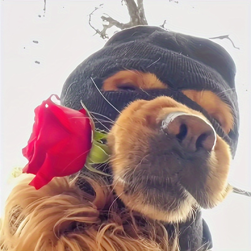 Festive Dog Balaclava: Warm And Cute Pet Accessory For Dogs - No Battery Required, Made Of Polyester
Festive Dog Balaclava: Warm And Cute Pet Accessory For Dogs - No Battery Required, Made Of Polyester