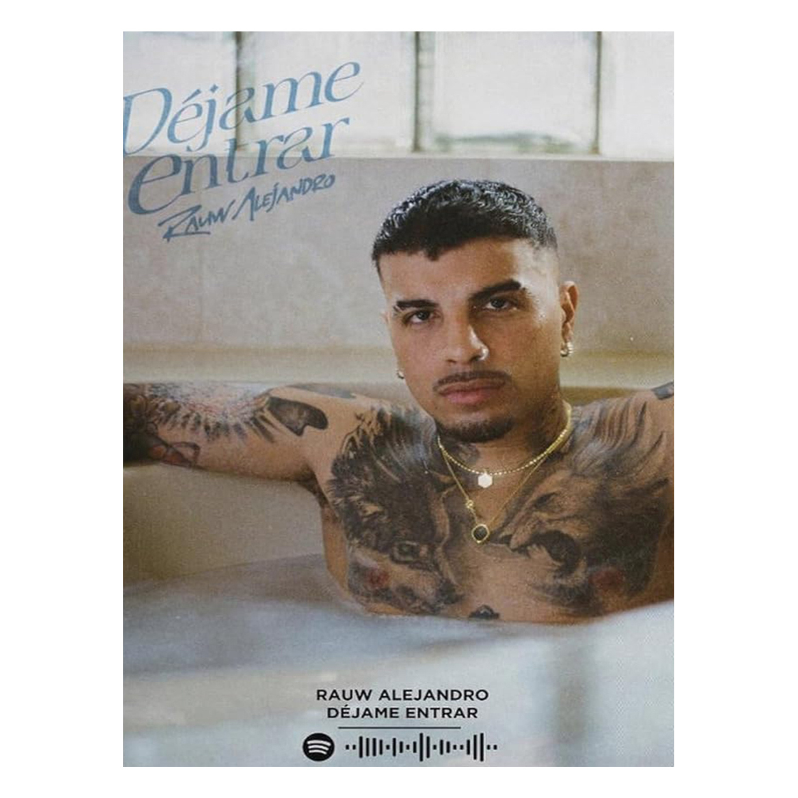 1pc Raúl Dejame Entrar Canvas Art Print, Decor Poster For Bedroom And Living Room, High-quality Wall Hanging Gift
1pc Raúl Dejame Entrar Canvas Art Print, Decor Poster For Bedroom And Living Room, High-quality Wall Hanging Gift