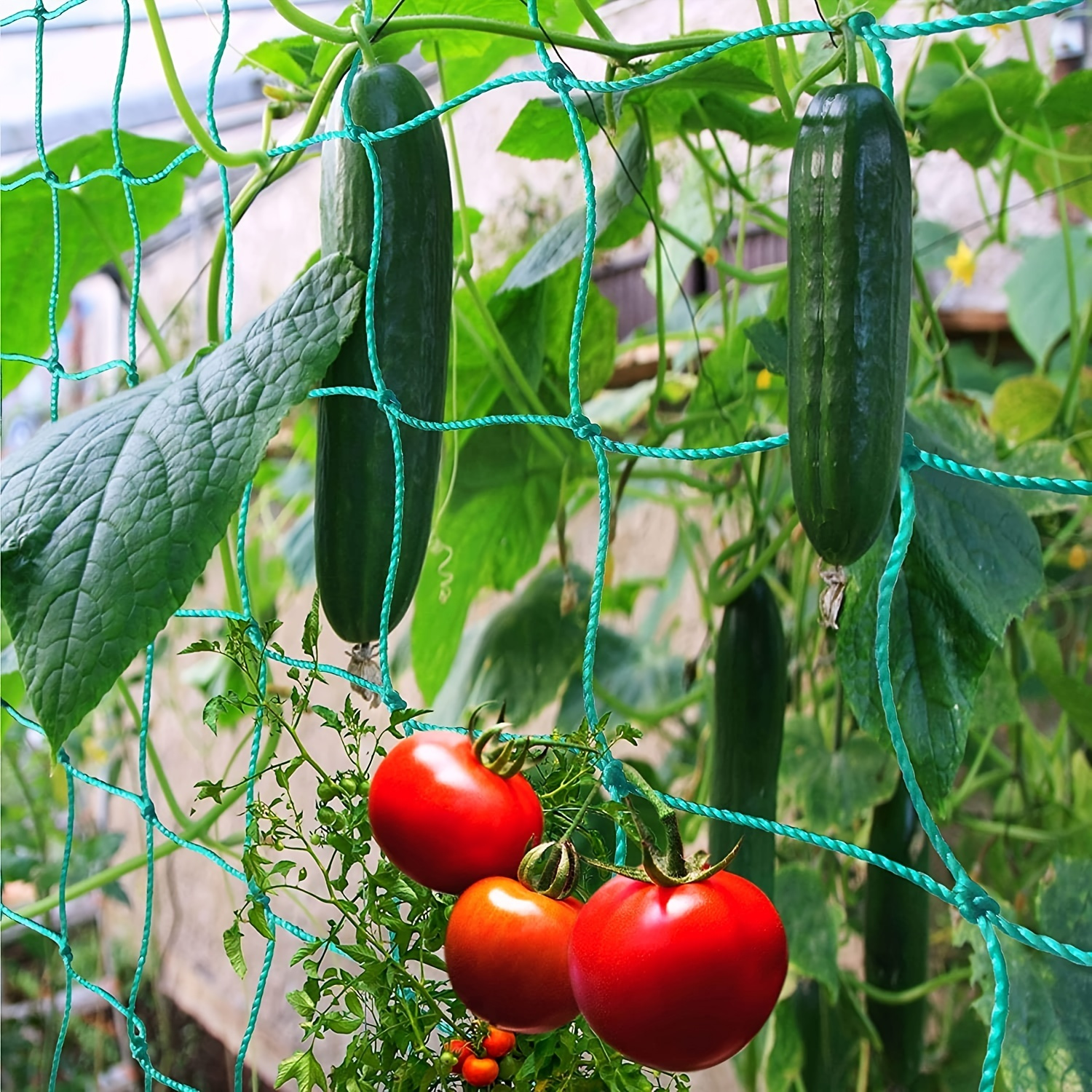1pc Garden Trellis For Climbing Plants Outdoor, Trellis Netting For Cucumber, Tomato, Plant Trellis Net With 4x4 Inch Mesh As Vegetable Trellis For Grape, Bean, Growing Pea
1pc Garden Trellis For Climbing Plants Outdoor, Trellis Netting For Cucumber, Tomato, Plant Trellis Net With 4x4 Inch Mesh As Vegetable Trellis For Grape, Bean, Growing Pea
