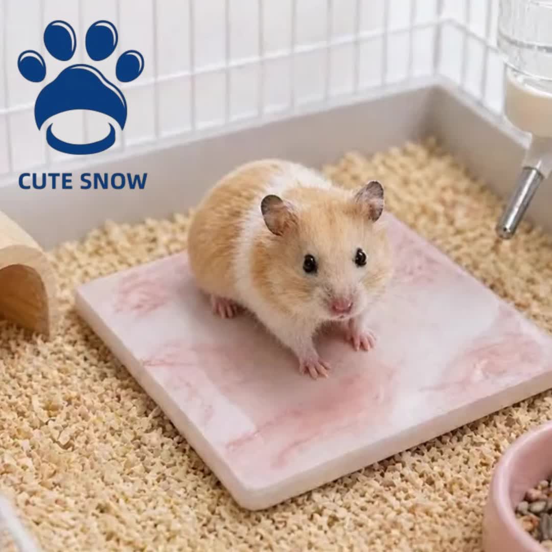 Specialized Ceramic Cooling Pad for Hamsters
