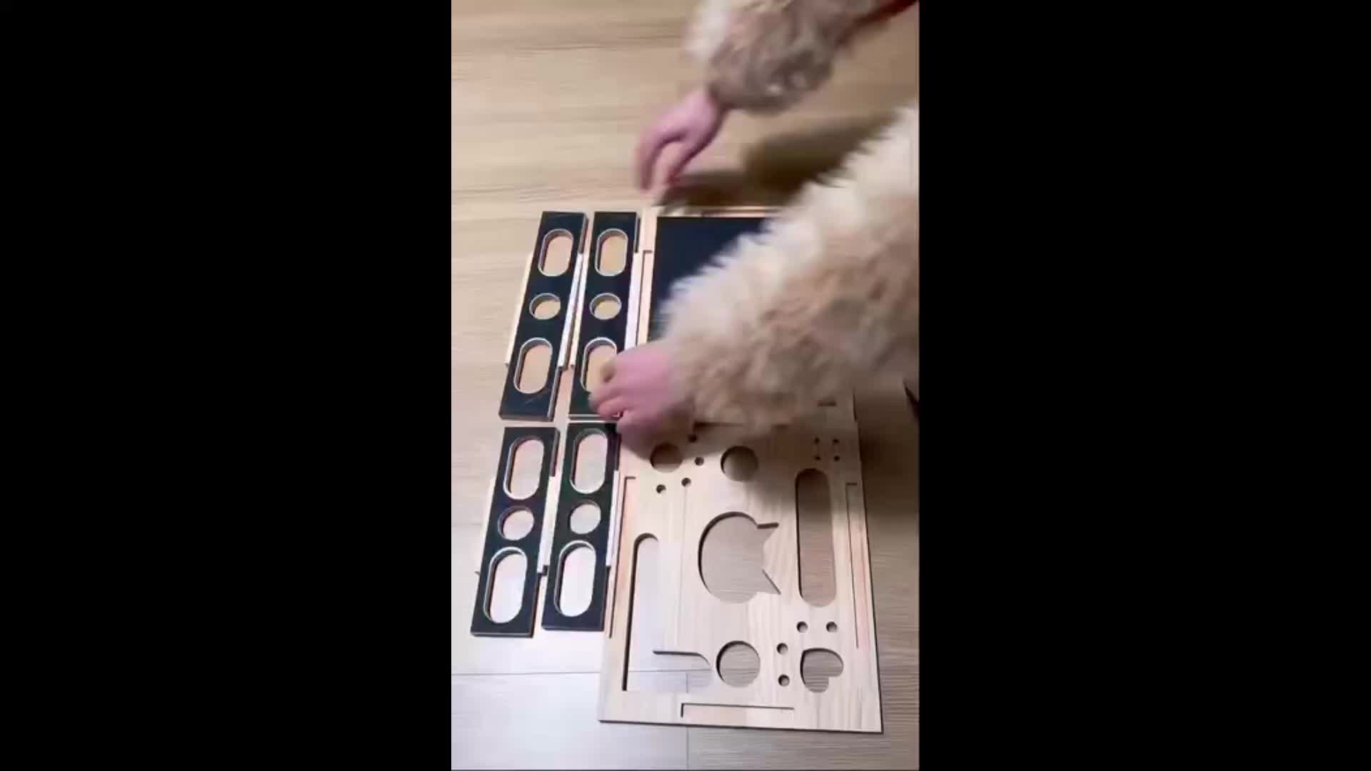 Cat Nail File Enrichment Box