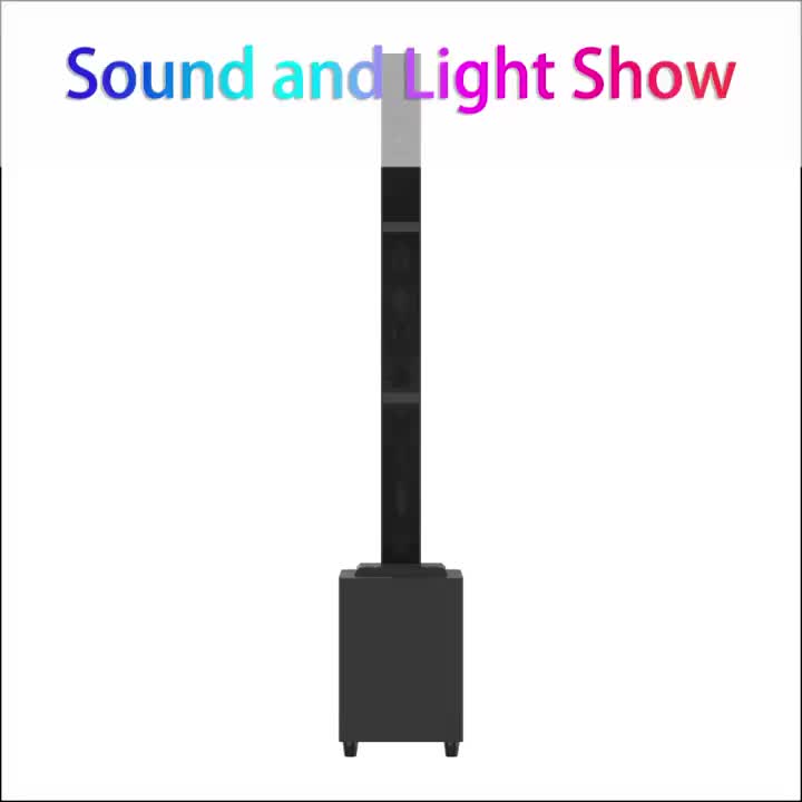 TWS Portable Wireless Speaker with Detachable Audio System