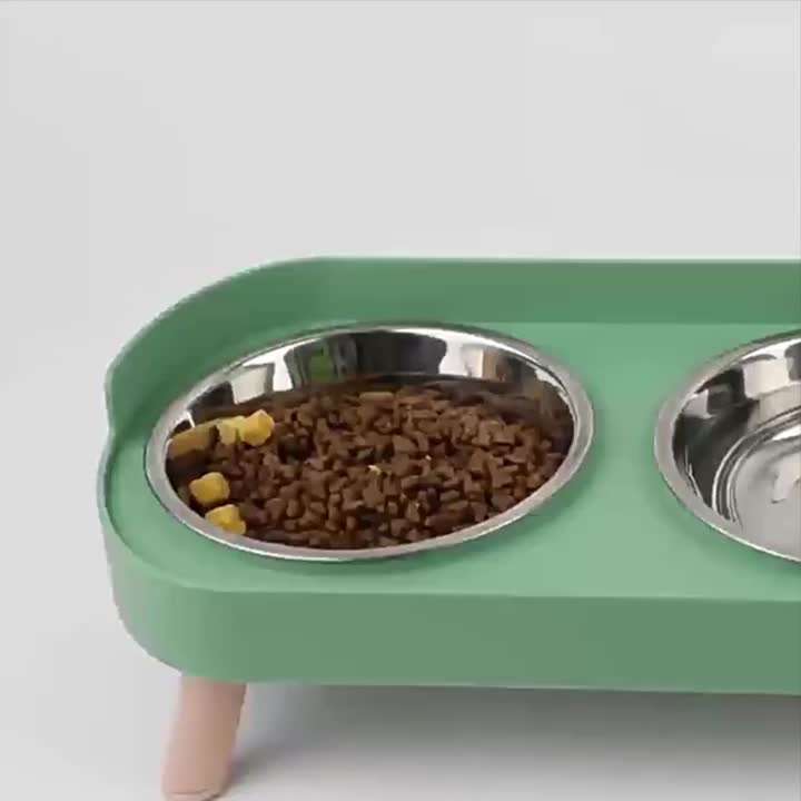Raised Double Bowl Feeder with Custom Pet Name