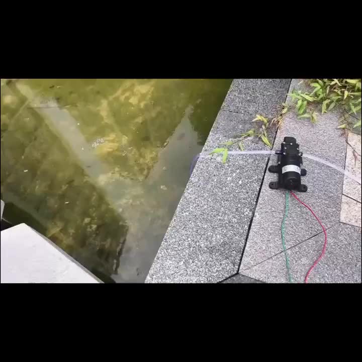 12V DC Diaphragm Water Pump, 8L/Min Self-Priming