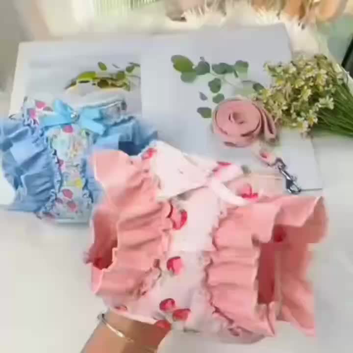 Cartoon Strawberry Print Pet Harness and Leash Set