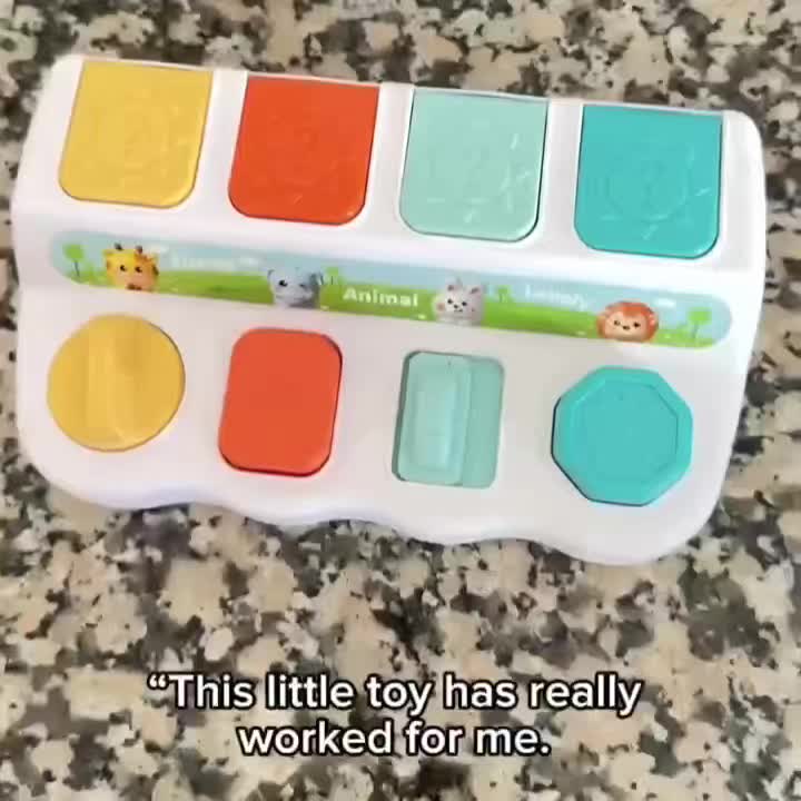 Cute Interactive Animals Hide and Seek Toy