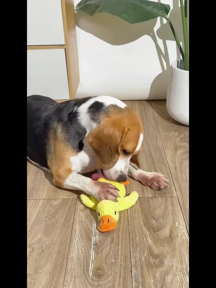 Interactive Yellow Duck Doll with Squeaking Sound for Pets
