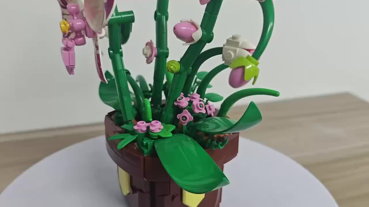 Phalaenopsis Orchid Potted Building Block Kit