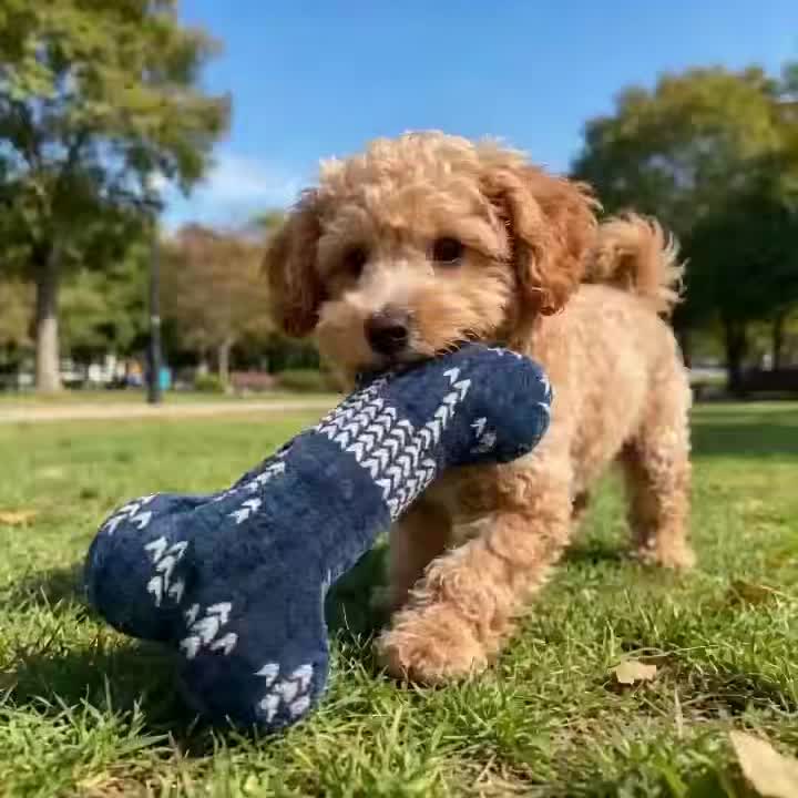 Geometric Pattern Simulation Dog Bone Training Toy
