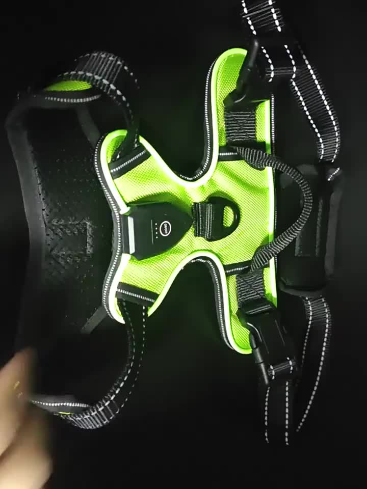 Light Up Dog Harness with LED Flashing Warning System - Rechargeable Suitable for Night Walking, 3 Lighting Modes & Flashing Alert, Oxford Cloth Harness for Low-Light Visibility, Machine Washable for Pet Travel and Nighttime - Image 9