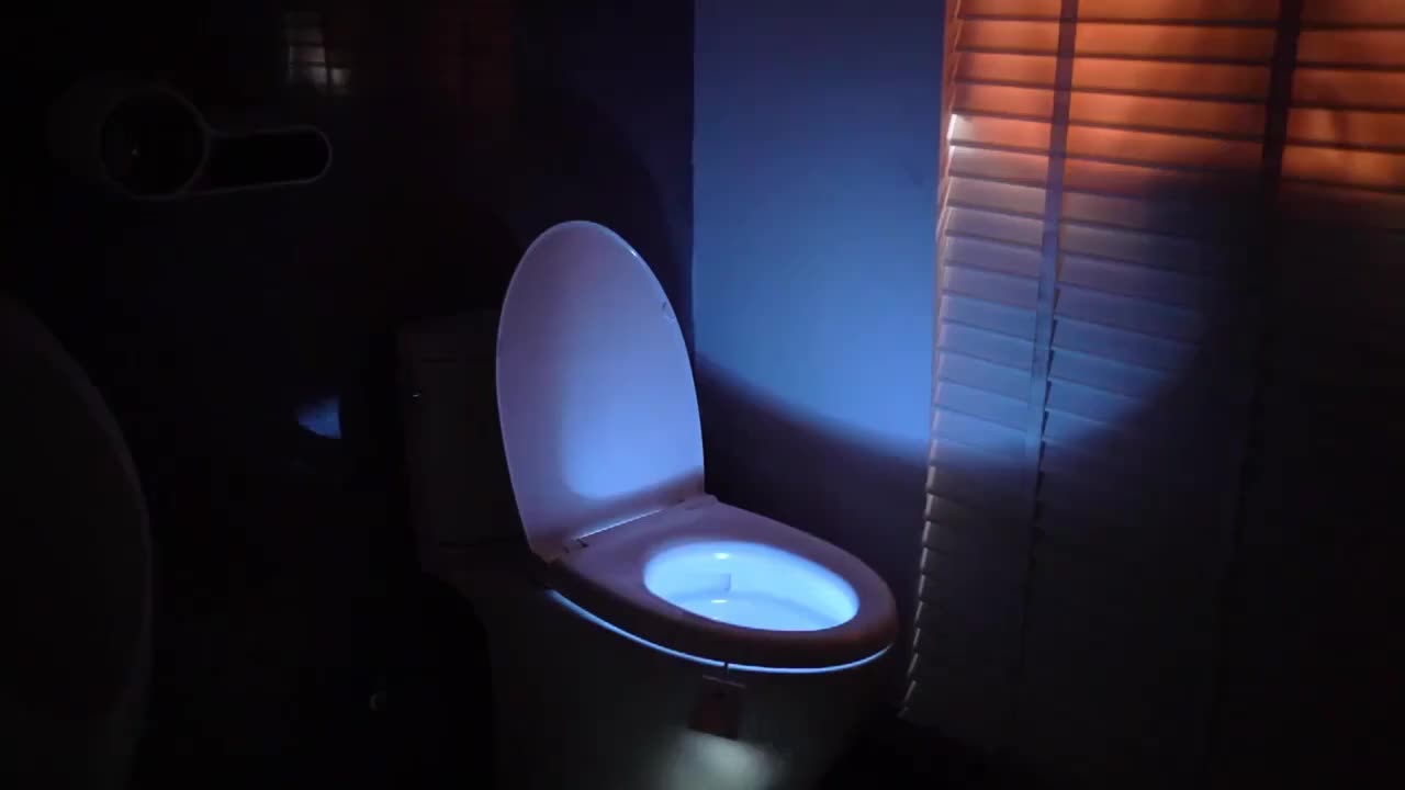2pcs LED Motion Sensor Smart Lights for Bathroom
