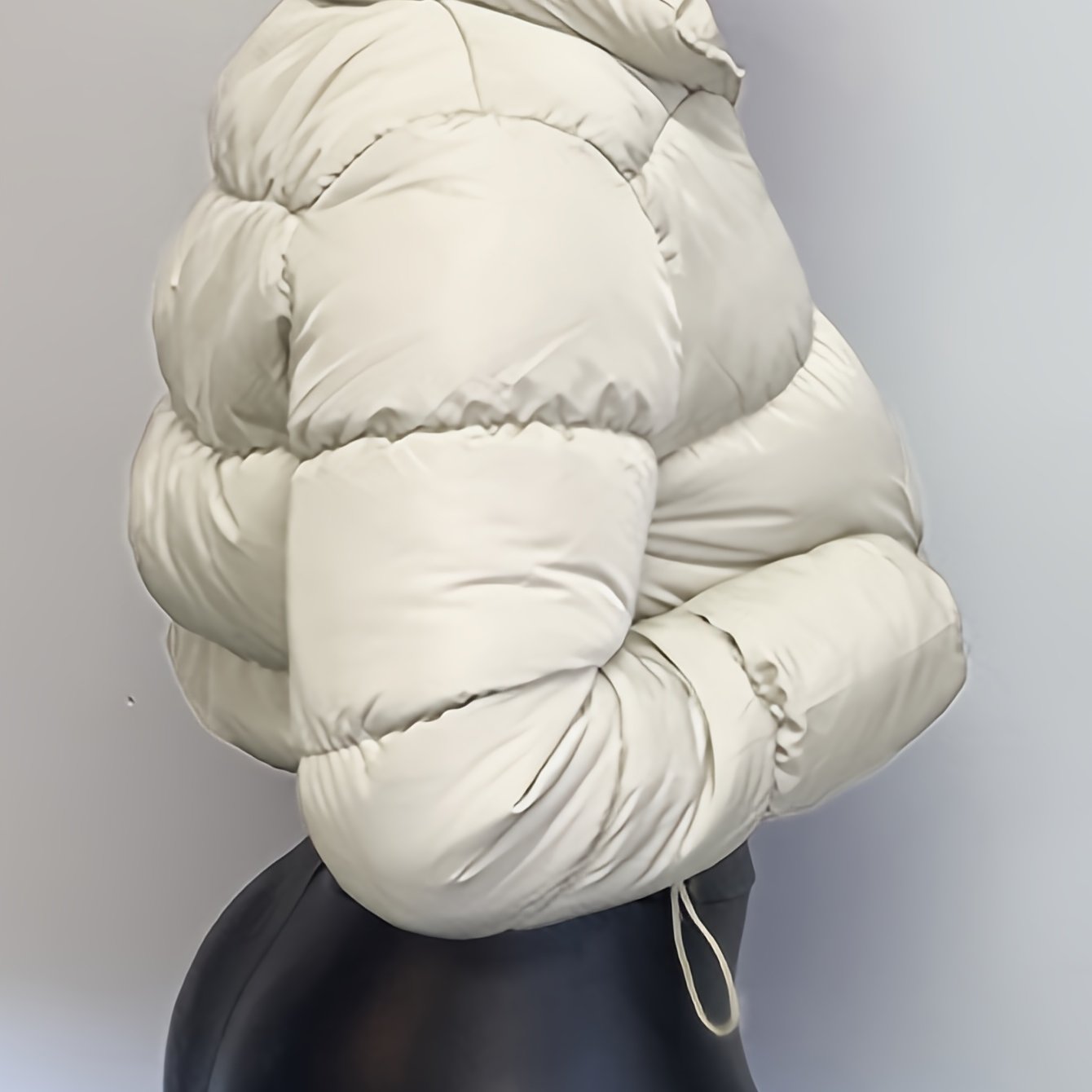 Zipper Warm Puffer Jackets Winter Hiking Ski Solid Color Crop Puffer Coat  Womens Clothing - Sports & Outdoors - Temu Sweden