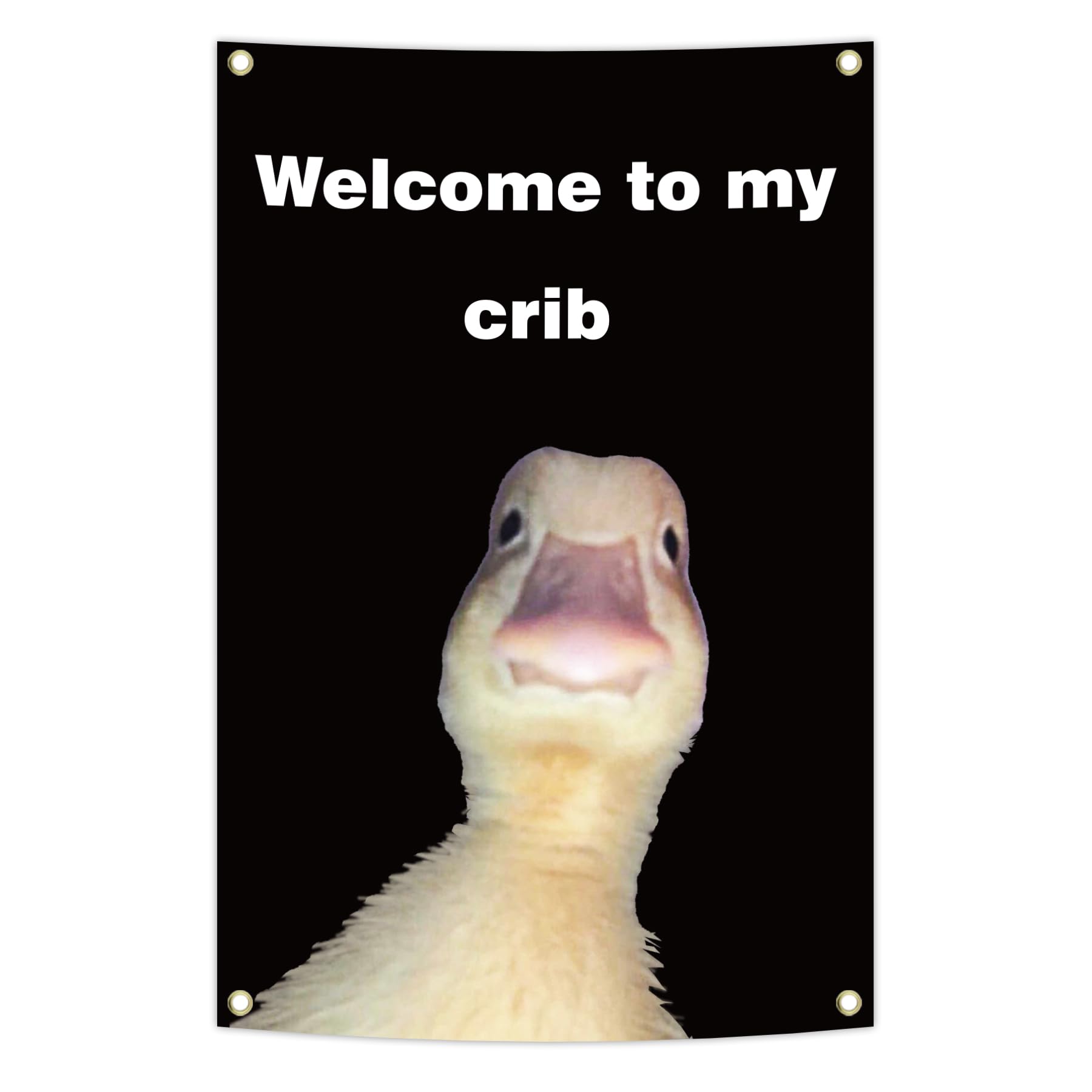 

Welcome To My Crib Flag 2x3 Feet Funny Flag,funny Duck Tapestry Man Cave Wall Flag With 4 Brass Grommets For College Dorm Room Decor,outdoor,parties,gift