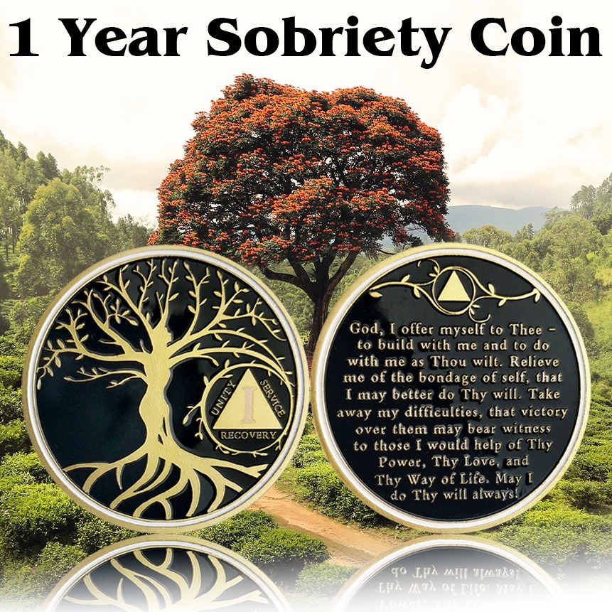 1pc, 1 Year Sobriety Chip, Tree Of Life Aa , Recovery Gift For