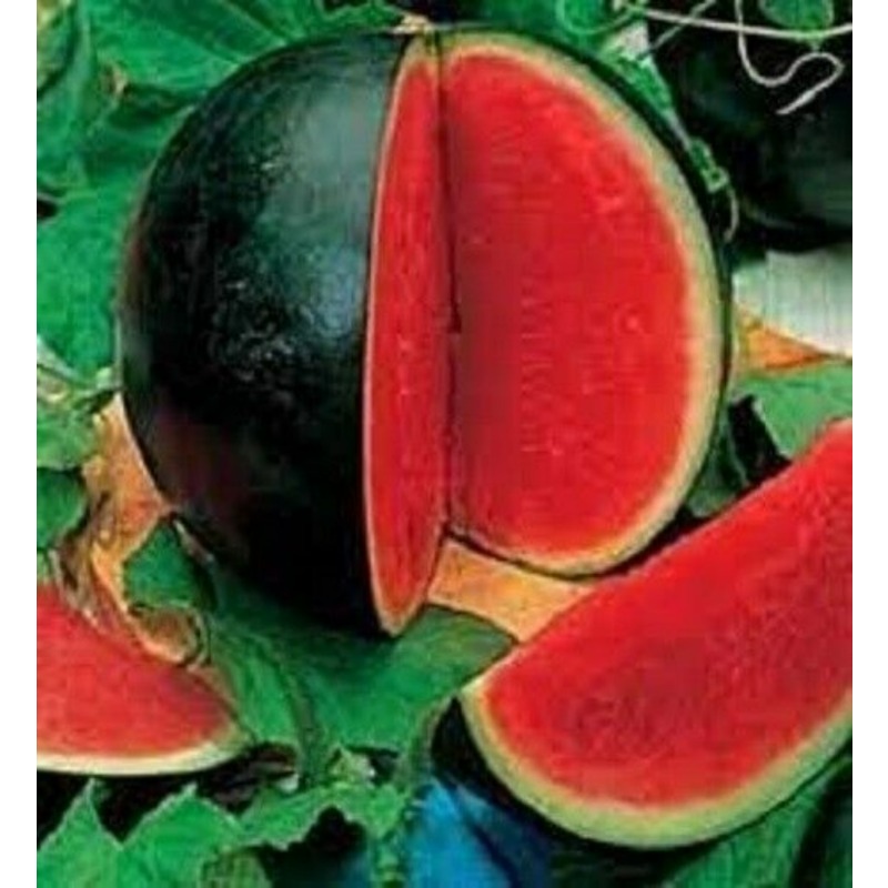 

200pcswatermelon Vegetable Garden Vegetables