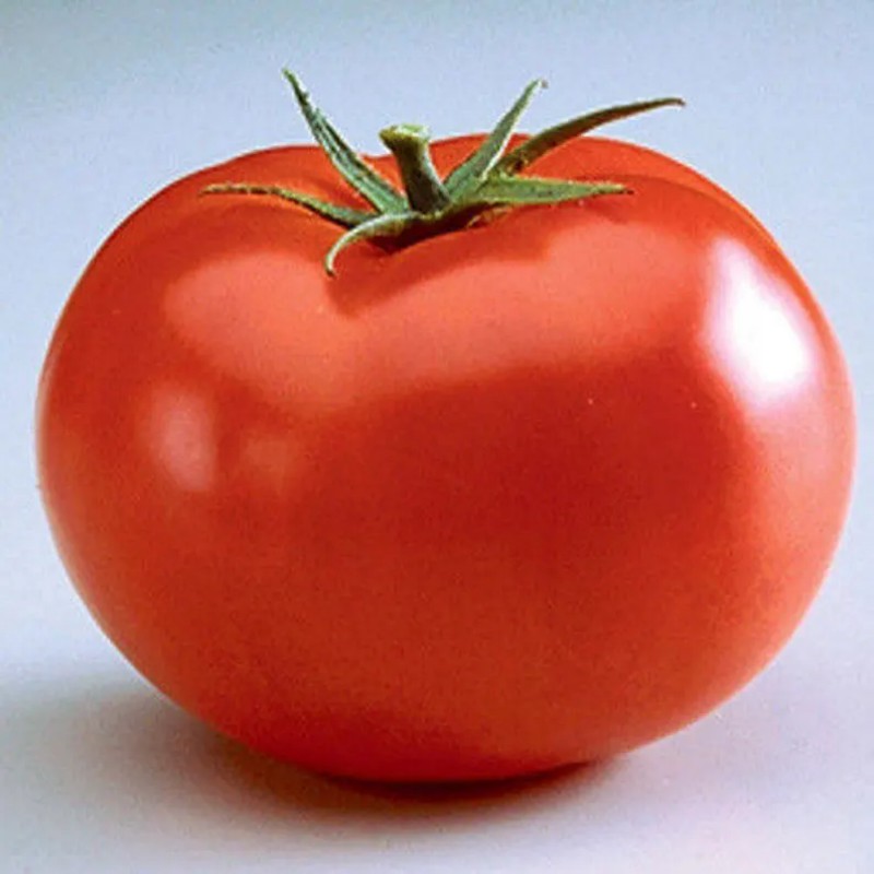 Rare Big Boy Tomato Seeds Home Vegetables Garden Temu