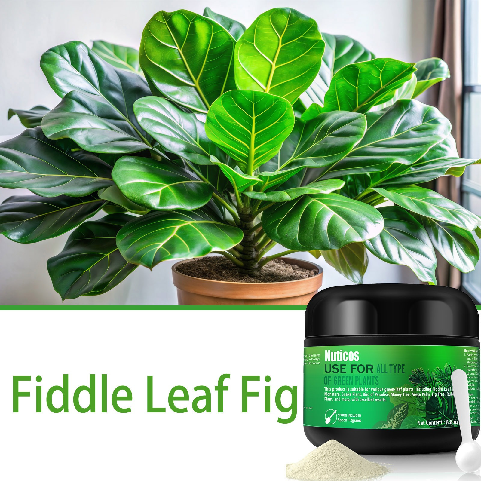 

8.8oz And For Fig, , Philodendron, , Macrocarpa And , Concentrated