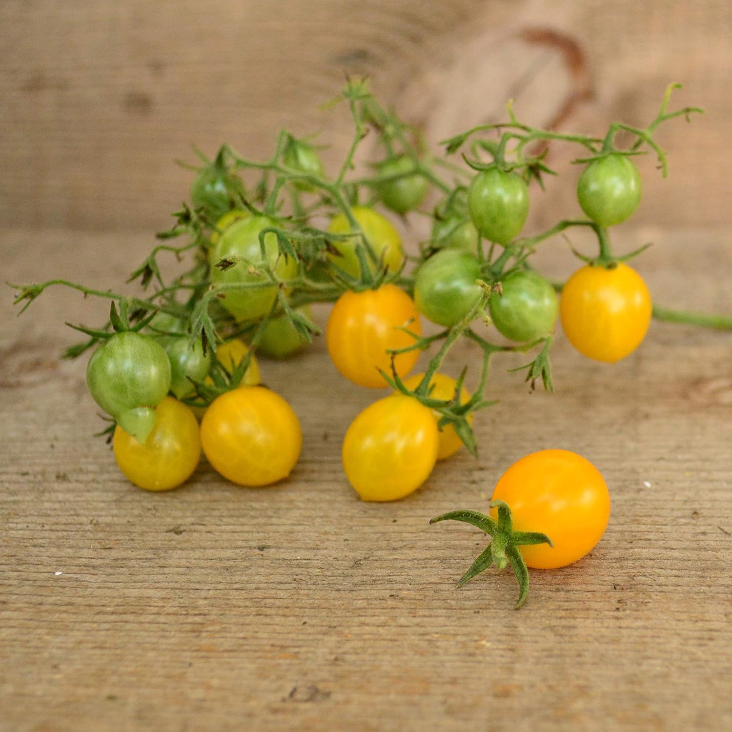 Yellow Grape Tomato Seeds 2024 Orange Cherry Temu