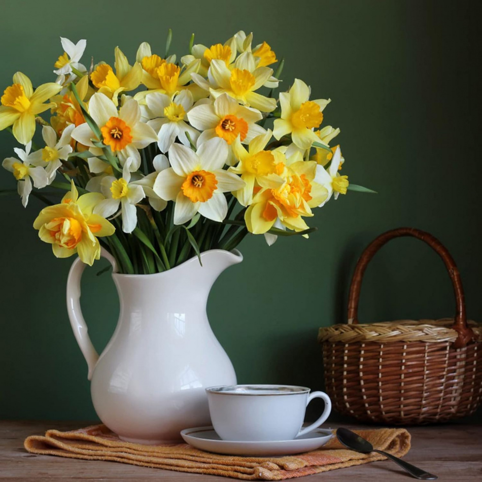 

New Arrival Garden Mix , Daffodil, 200pcsseeds For Planting Landscaping Rocks Decorative Garden Fast Growing &