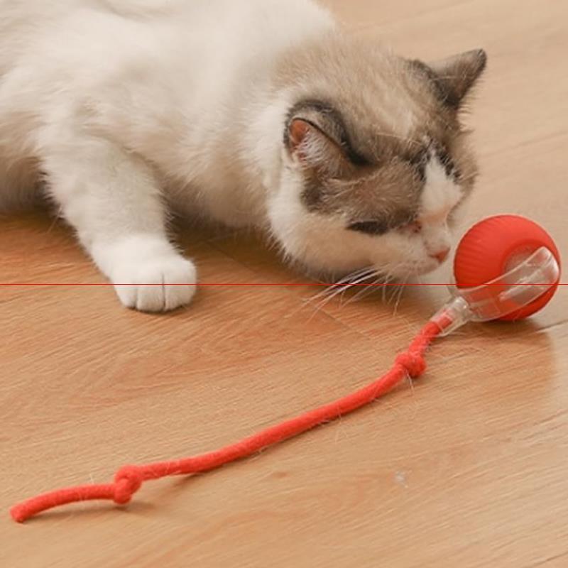 

Cat Toy Ball With Tail Rope, Smart Rolling Ball, Led Light, Electric Self- Toy, Interactive Cat , Automatic Cat Teaser Ball, Small Dog Toy, Pet Excercise, Cat Activity (red)