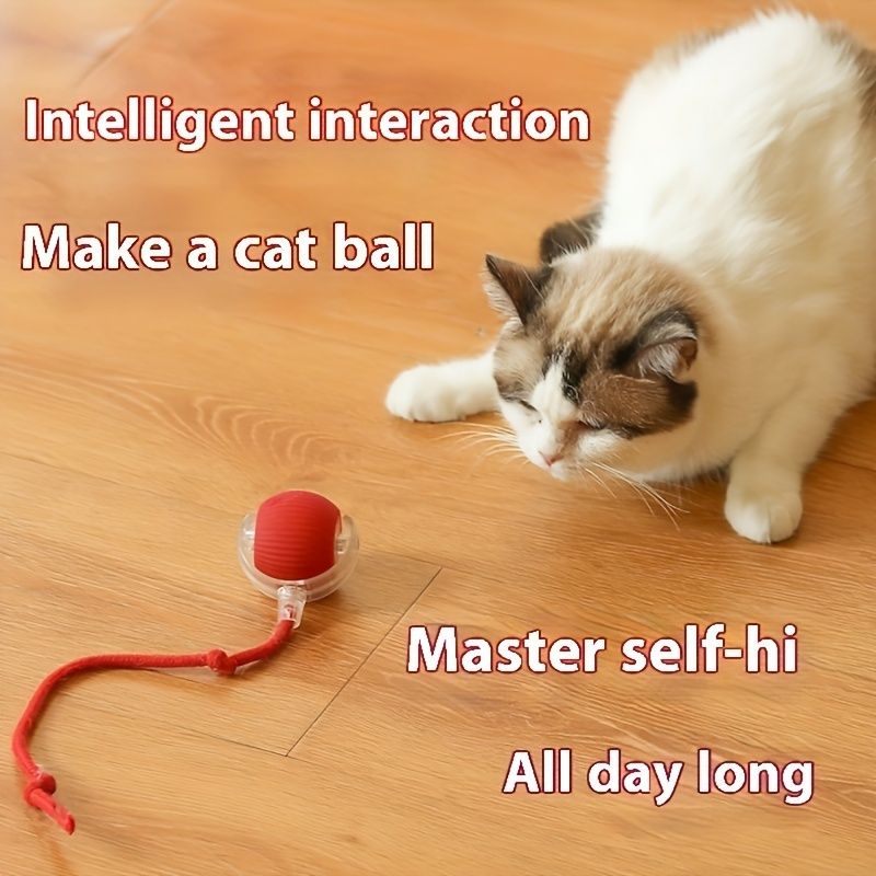 

Moving Ball For Dogs, 150mah Rechargeable Motorised Interactive Cat Toy Ball With Sturdy Case And Usb Rechargeable - Fun Self-entertaining Pet Accessory, Cat Gifts For Indoor Cats