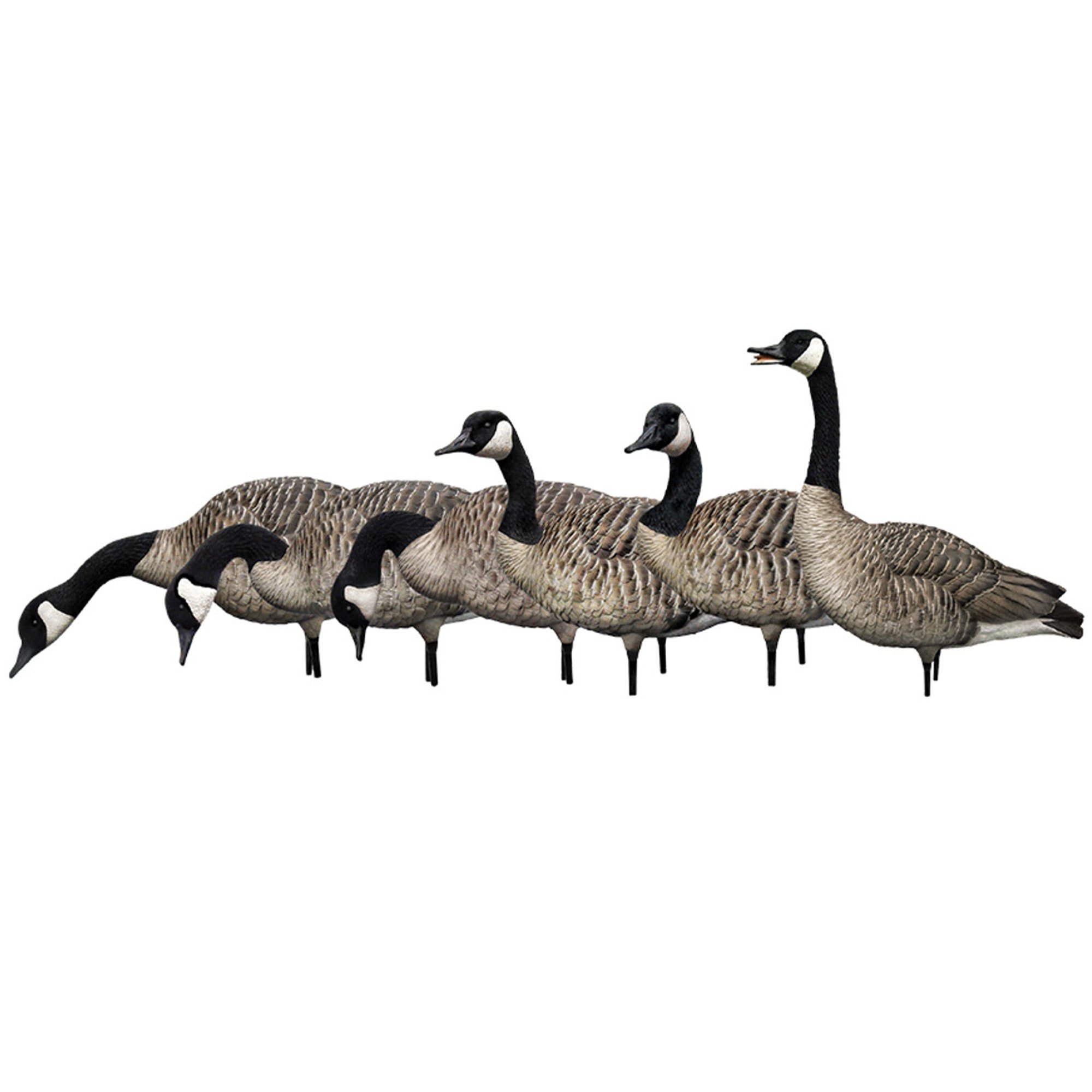 axp fusion pack full body canada geese Temu
