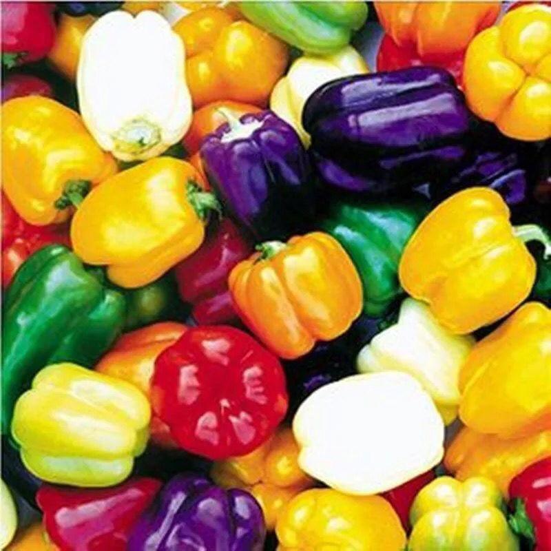 

Plant Flowershigh Germination Rate S Sweet Pepper Pepper Spring Vegetable Ornamental Field Potted Pepper Vegetable S