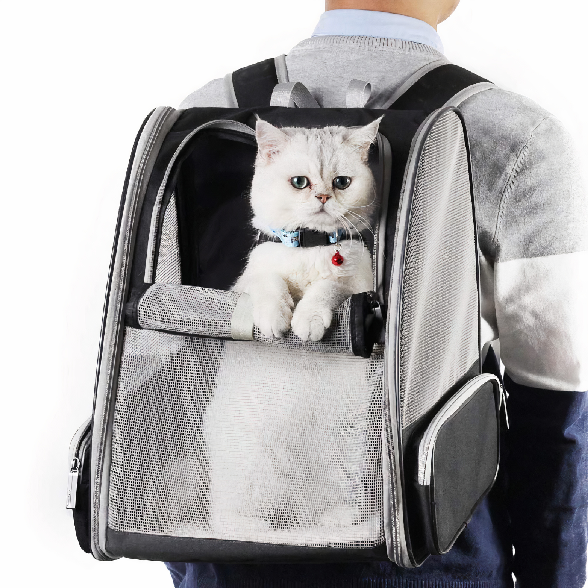 

Pet Cat Dog Traveler Backpack Pet Carriers For Cats And Dogs