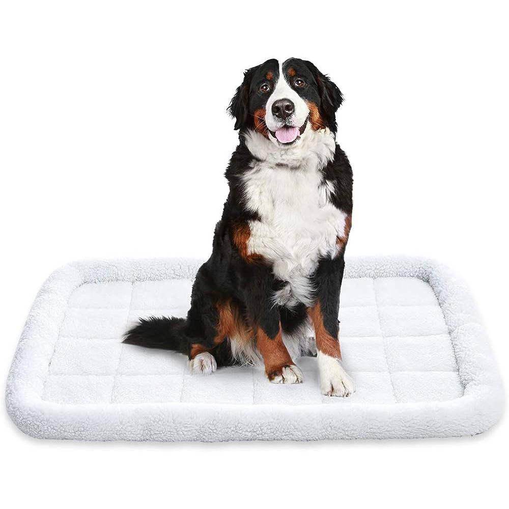 

Dog Bed Padded , Cat Doggy & Pet Bed For ,