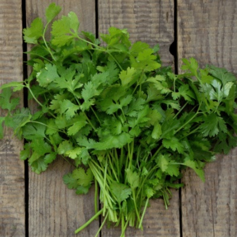 

Coriander , Traditional /chinese Coriander ( )