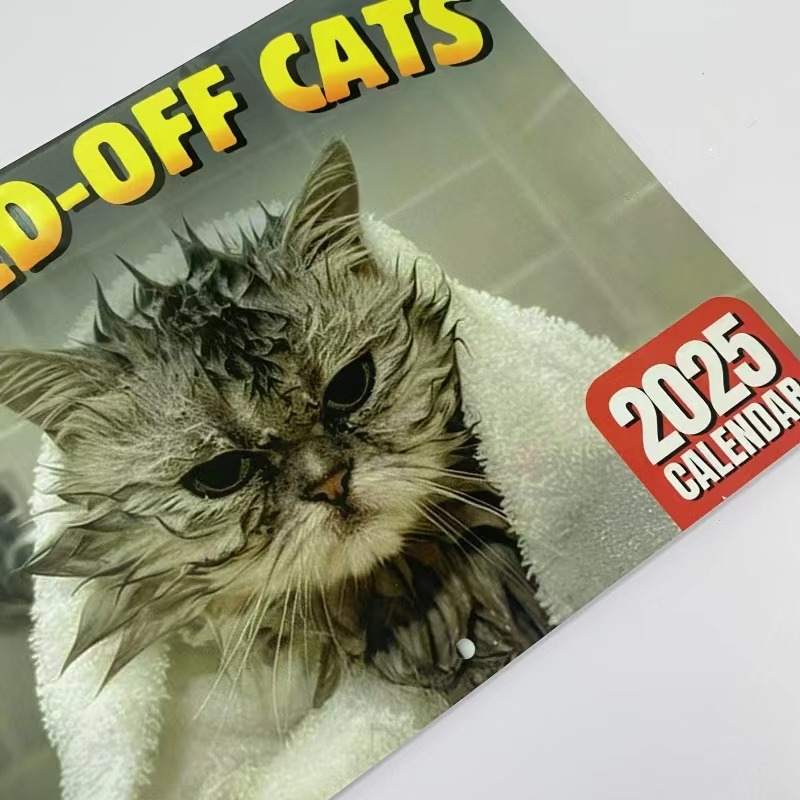 

2025 Calendar, Calendar , Different Types Of Cats, Cats Wearing Shapes, Decorated On The Wall, Used As A Planner